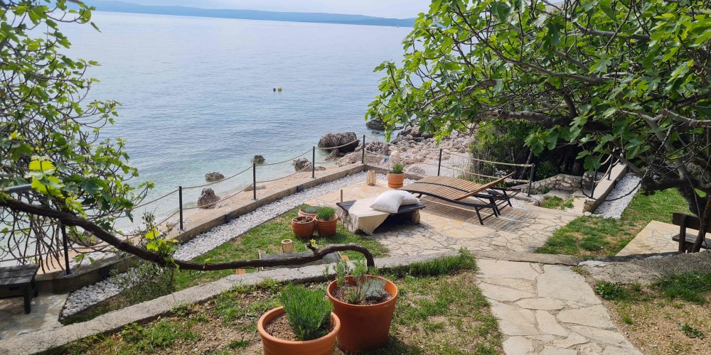 View of designated garden area