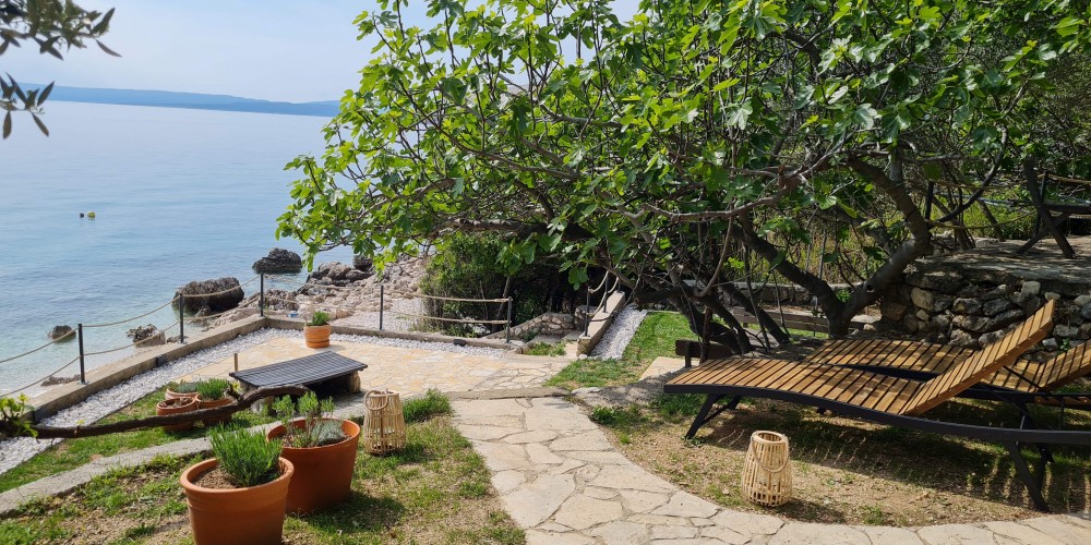 Dedicated garden area