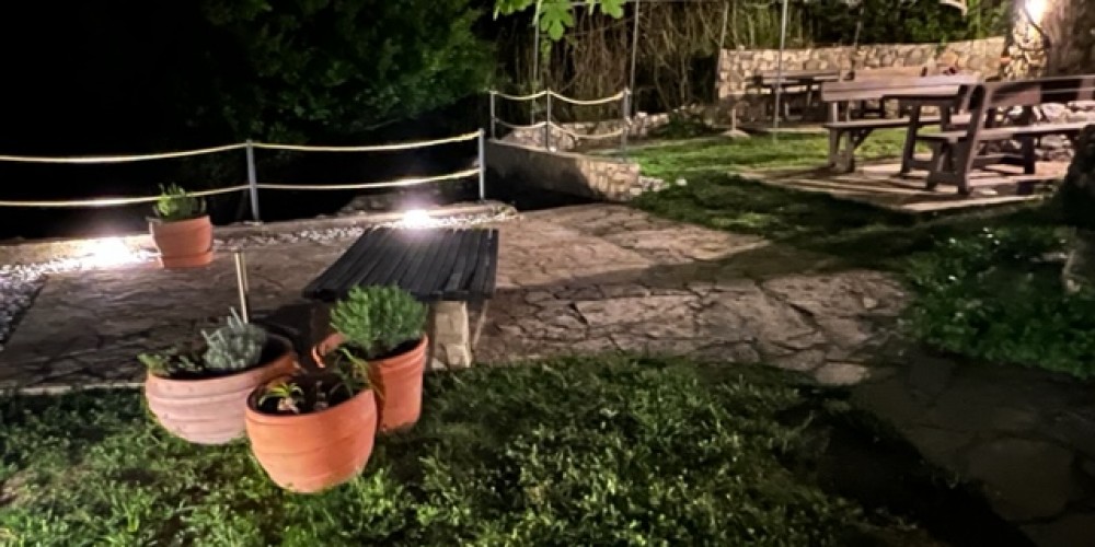 Garden view at night