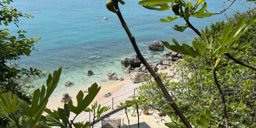 Private garden view