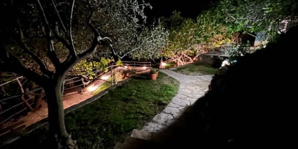 Garden view at night